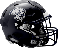 Tamaqua Area Blue Raiders logo